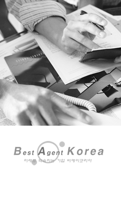 bakorea.com